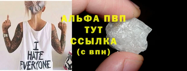 прущие грибы Аркадак