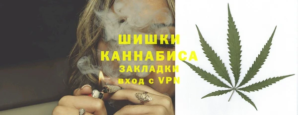 прущие грибы Аркадак