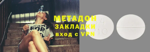прущие грибы Аркадак