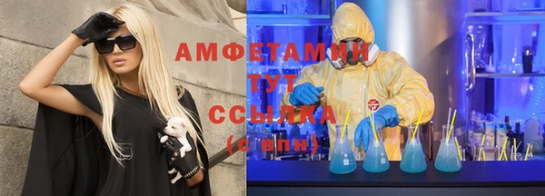 прущие грибы Аркадак